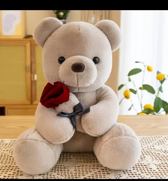 Teddy Bear Dolls🧸🌹