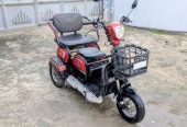 E-Bike. Three-Wheeler