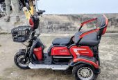 E-Bike. Three-Wheeler