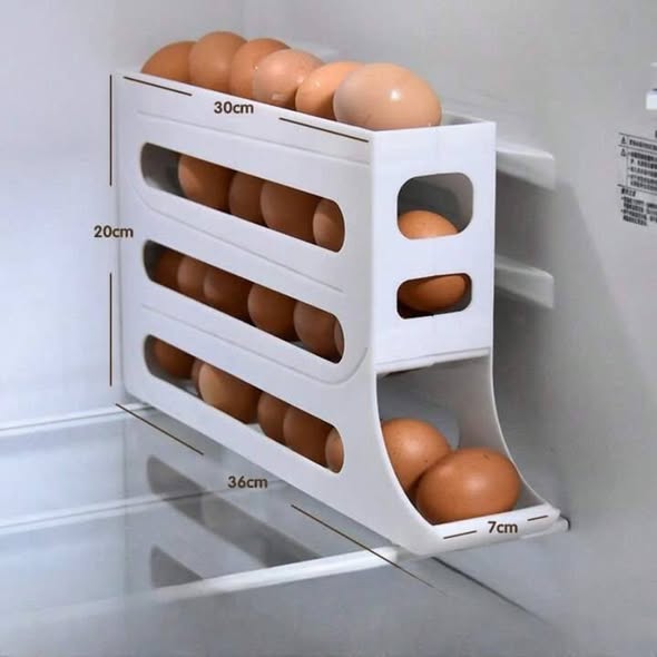 EGGS DISPENSER