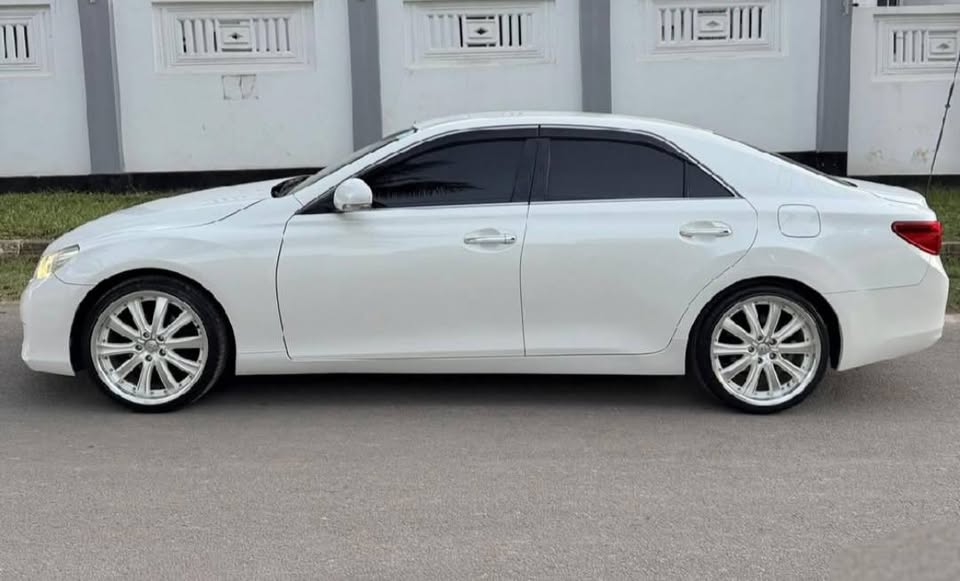TOYOTA MARK X 2010 Model