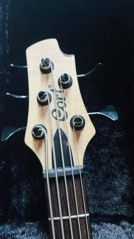 BASS GUITAR🔥