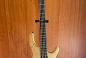 BASS GUITAR🔥