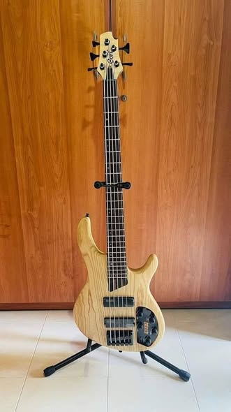 BASS GUITAR🔥