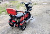 E-Bike. Three-Wheeler