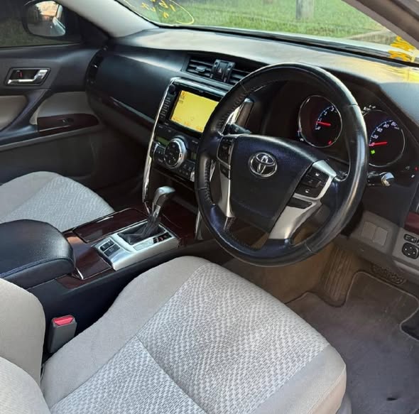 TOYOTA MARK X 2010 Model