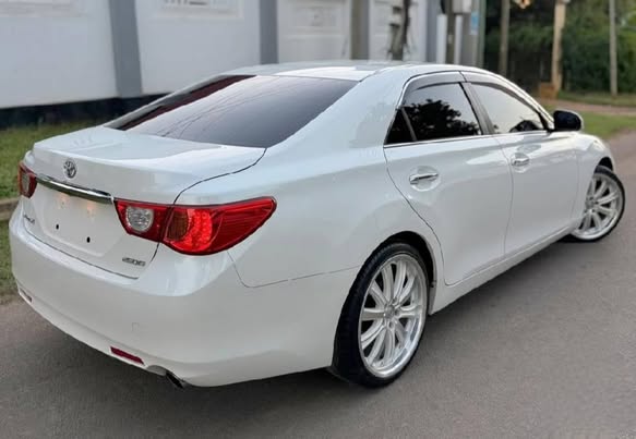 TOYOTA MARK X 2010 Model