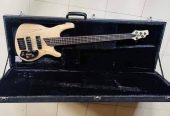 BASS GUITAR🔥