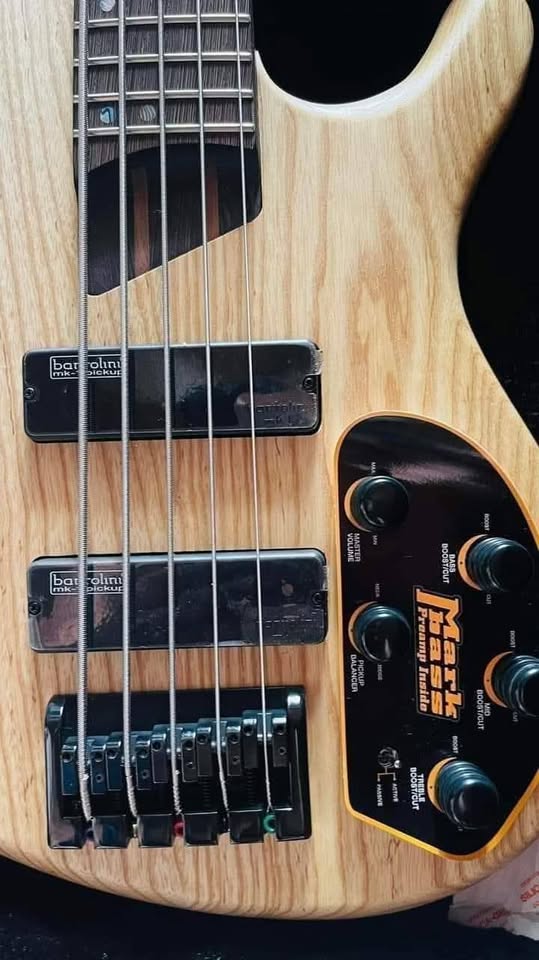 BASS GUITAR🔥