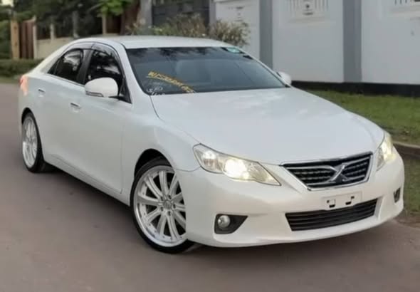 TOYOTA MARK X 2010 Model
