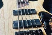BASS GUITAR🔥
