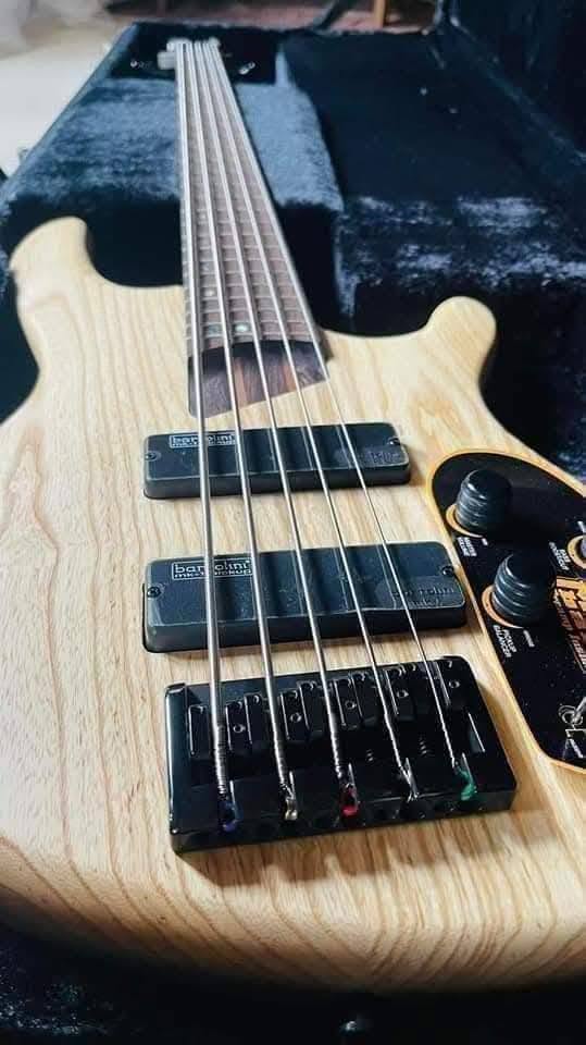 BASS GUITAR🔥