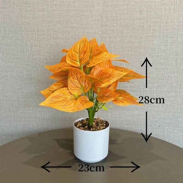 Beautiful Table Flowers💐