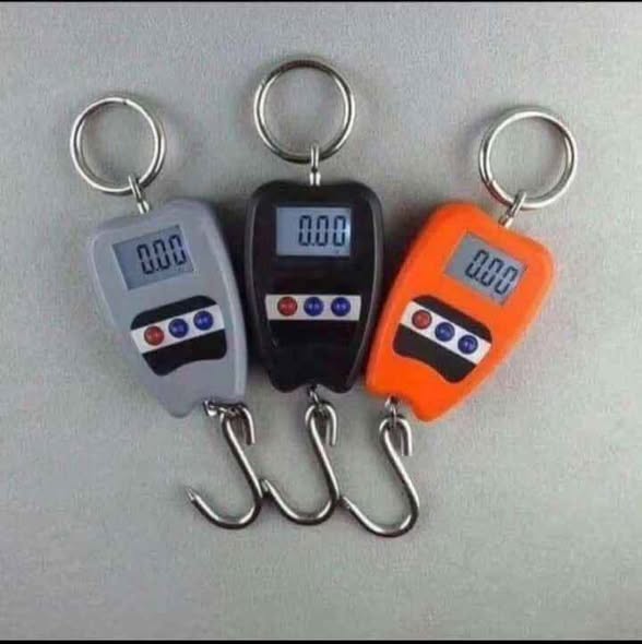 Digital Crane Scales