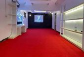 High Quality Attractive Carpets