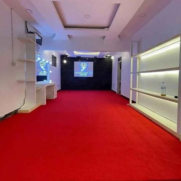High Quality Attractive Carpets
