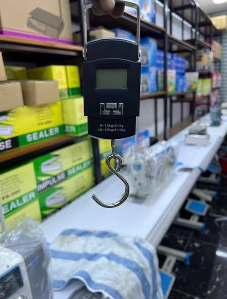 Digital Crane Scales