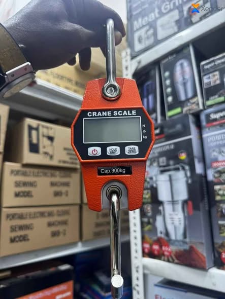 Digital Crane Scales