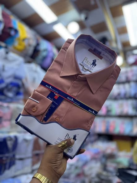 Men’s Shirts Brand: POLO