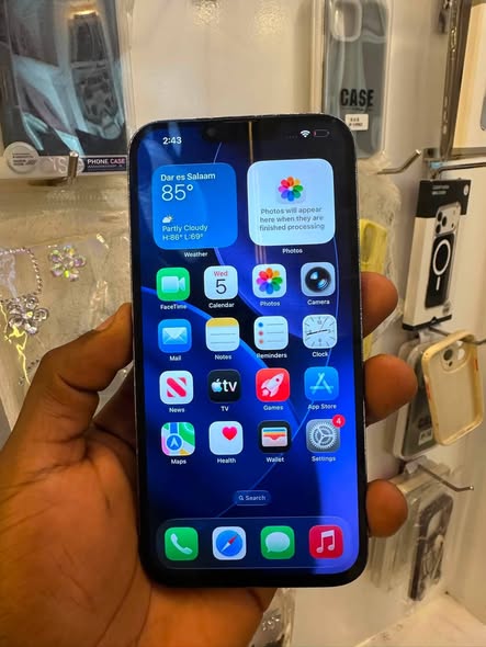 iPhone 13 Pro Max