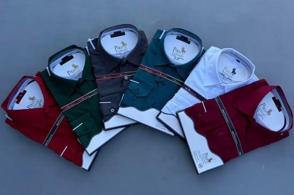 Men’s Shirts Brand: POLO